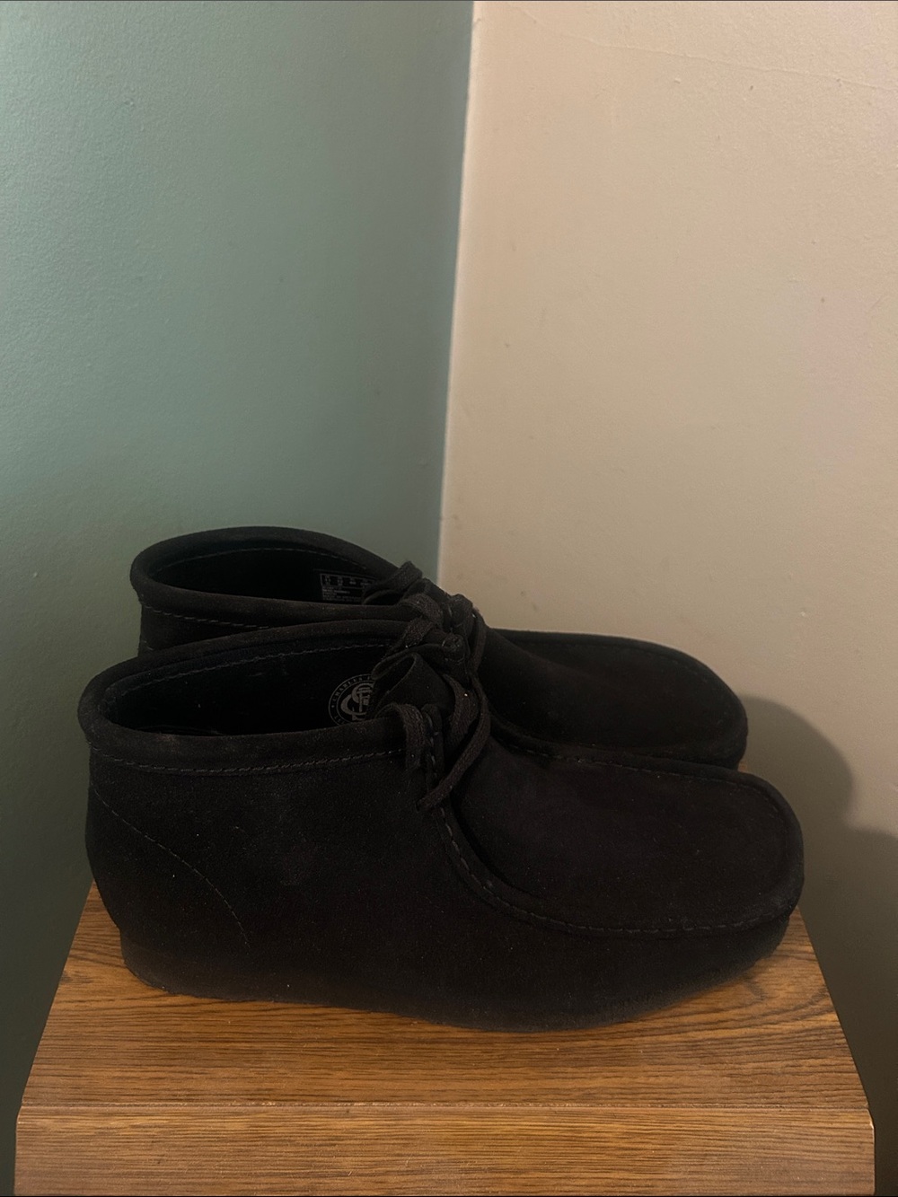 Clarks wallaby - Picture 2 of 5